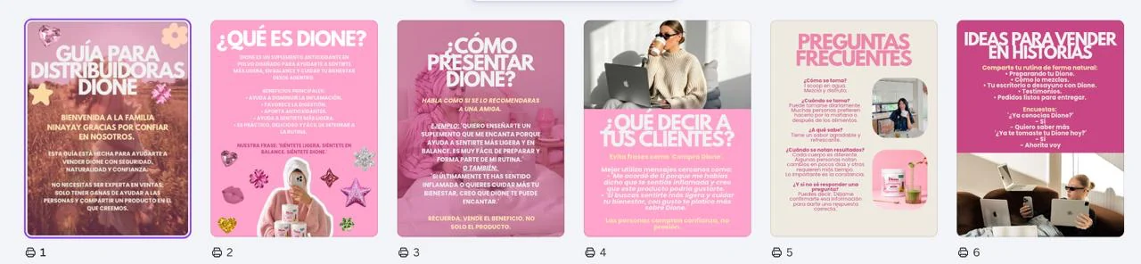 Guía de distribuidoras del catálogo Ninayay