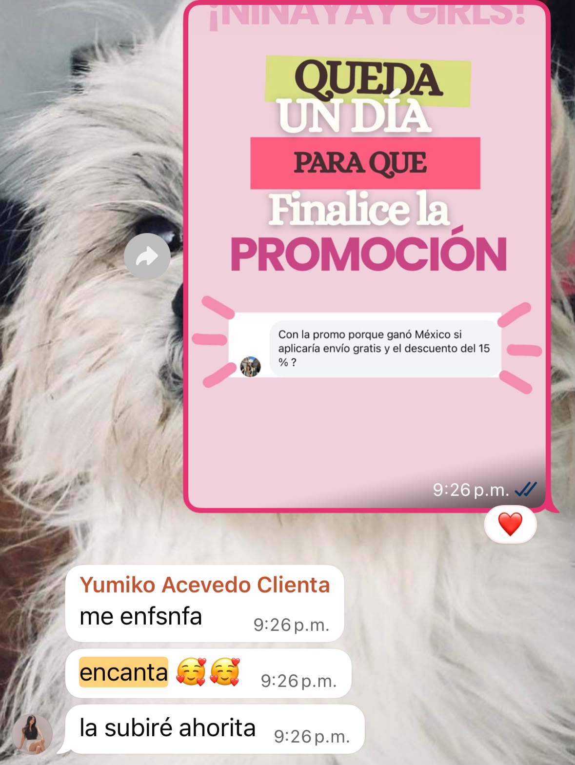 Reacción de Yumiko a una promoción diseñada por Andrea